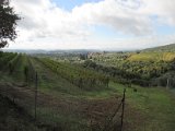 Chianti-1 2016 - 054.jpg